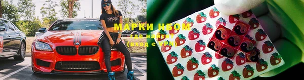 кокс Аркадак